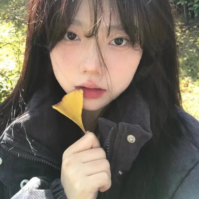 声生不息.大湾区季